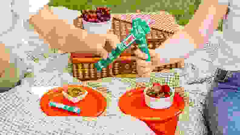Two people sit on a picnic blanket outdoors while enjoying two Chomps beef jerky sticks and other snacks.