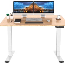 Product image of Flexispot Bamboo Dual Motor Electric Standing Desk